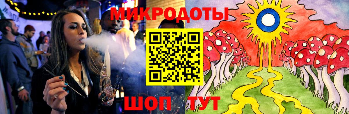Галлюциногенные грибы Psilocybine cubensis Кемерово